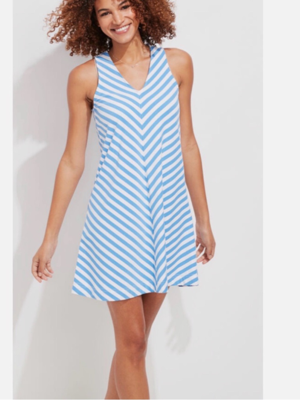Vineyard Vines Blue & White  V-Neck Swing Dress M